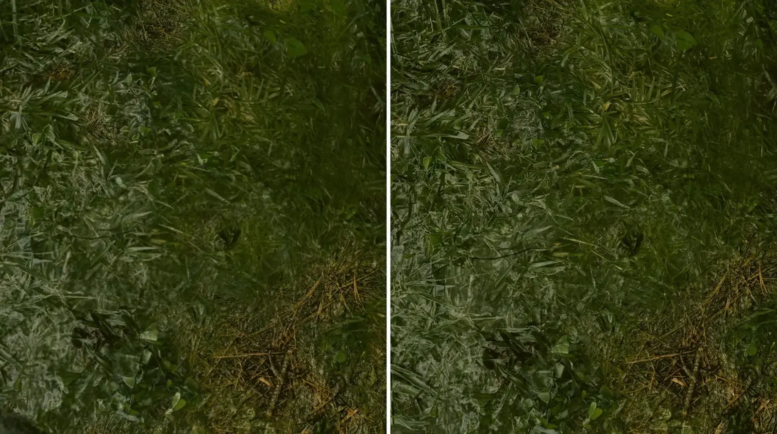 《星空》4K材质包MOD发布 提升风景与植被品质